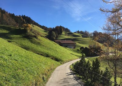 Einer der vielen Wanderwege